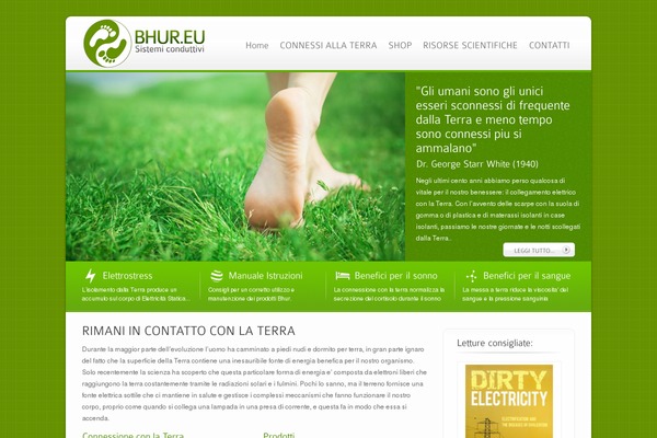 Ecobiz theme site design template sample