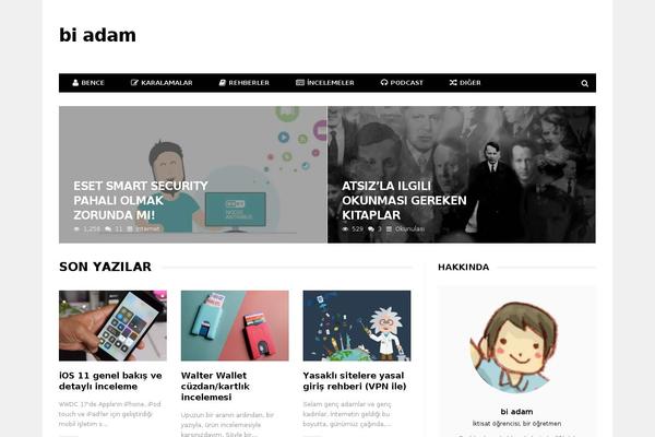 bi-adam theme websites examples