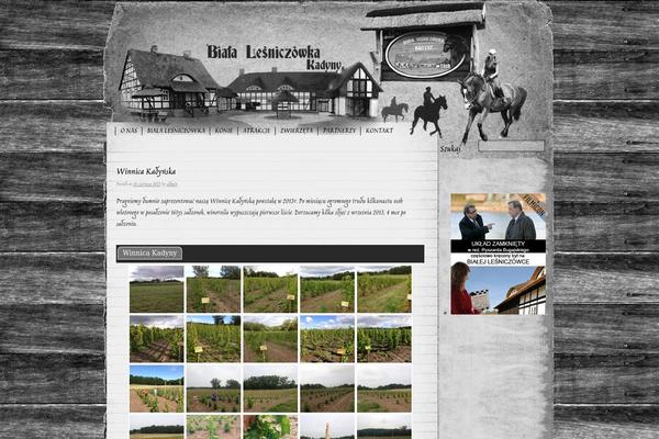 bialalesniczowka.pl site used Rustic