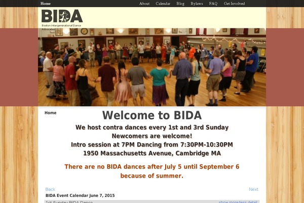 bidadance.org site used Bida