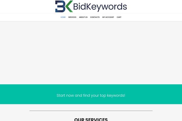 bidkeywords.com site used Seo-business