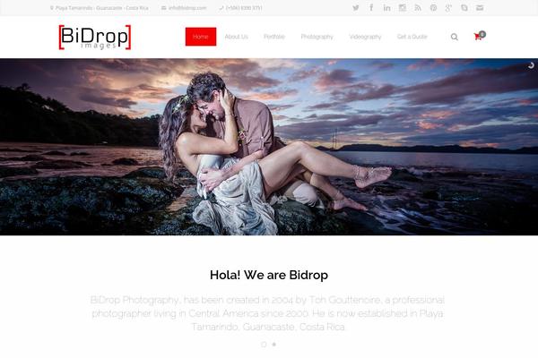 bidrop.com site used Graffias