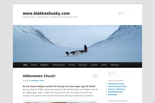 Twenty Eleven theme site design template sample