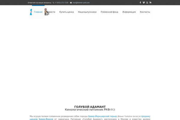 WordPress website example screenshot