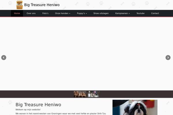 big-treasure-heniwo.com site used Bth