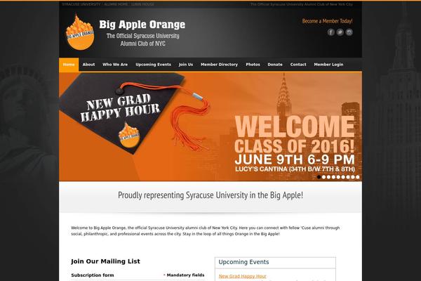 bigappleorange.org site used Raiden_1_0_4
