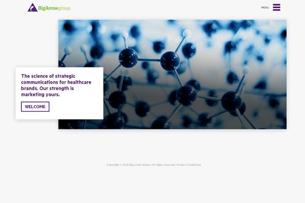 bigarrowgroup.com site used Bigarrow
