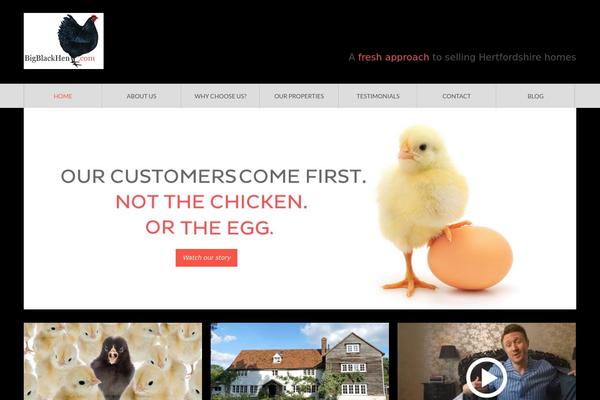 bigblackhen.com site used Bigblackhen