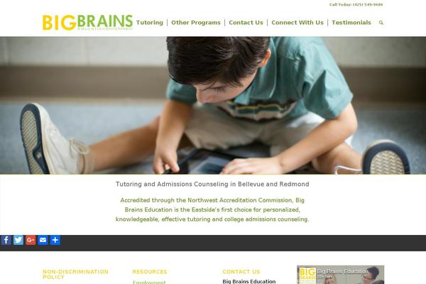 bigbrainseducation.com site used N8core