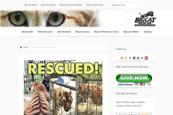 bigcatrescue.org site used Brookside