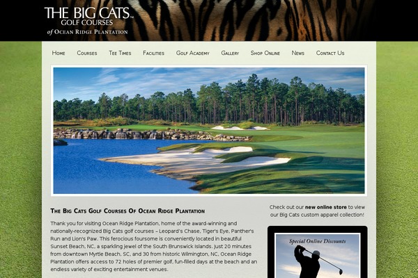 Hello Elementor theme site design template sample
