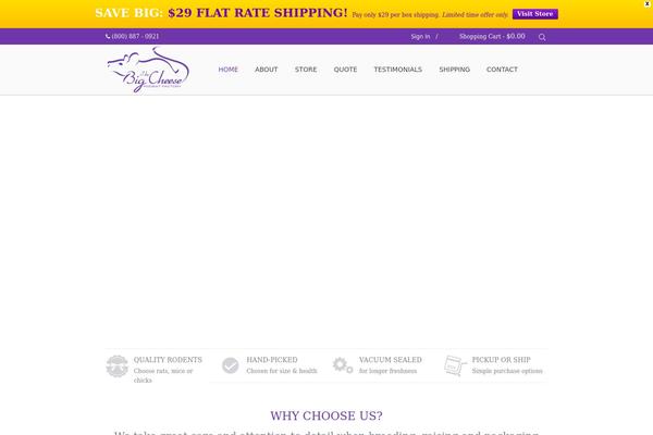 bigcheese theme websites examples