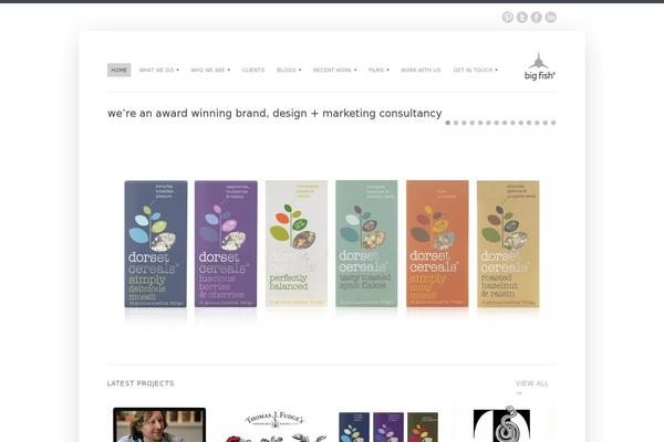 Bigfish theme websites examples