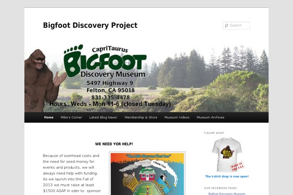 Twenty Eleven theme site design template sample
