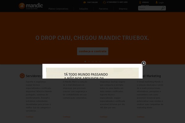 mandic_4108 theme websites examples