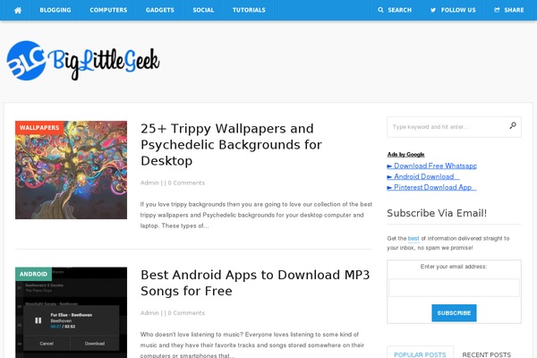 Site using WP Subscribe plugin