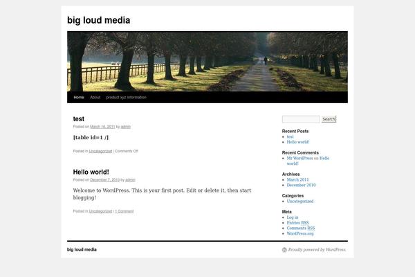 WordPress website example screenshot