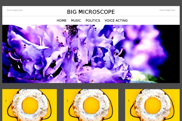 bigmicroscope.com site used Soliloquy