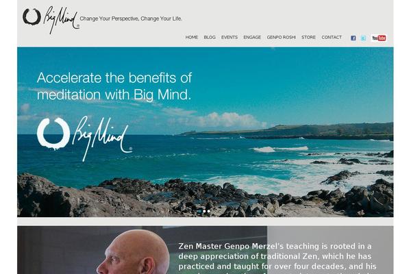 bigmind.org site used Big-mind