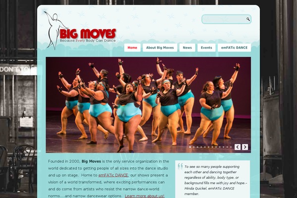 bigmoves.org site used Bigmovestheme