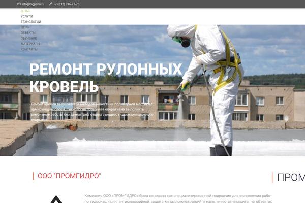 bigpena.ru site used Fortuna