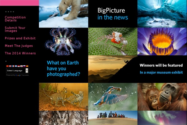 bigpicturecompetition.org site used Vitrux