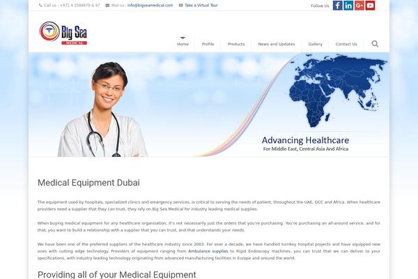 bigseamedical.com site used Bs-custom