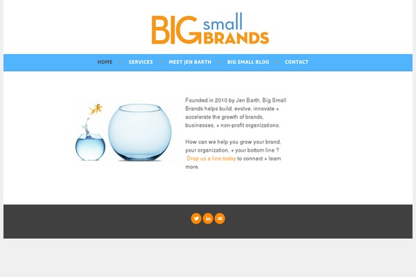 bigsmallbrands.com site used Sela-wpcom