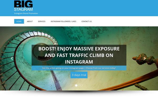 Enigma theme site design template sample