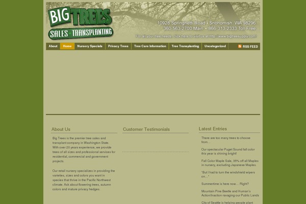 WordPress website example screenshot