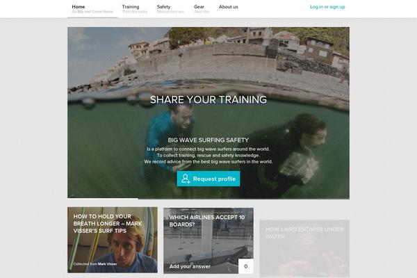 bigwavesurfingsafety.com site used Bwss