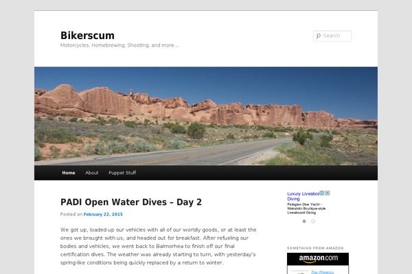 Twenty Eleven theme site design template sample