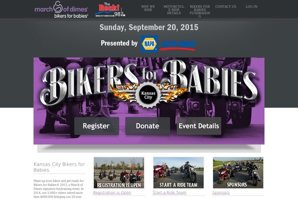 bikersForBabies WordPress theme, websites list used bikersForBabies theme bikersForBabies theme websites examples