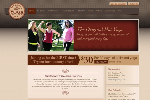 BY-Billings theme websites examples