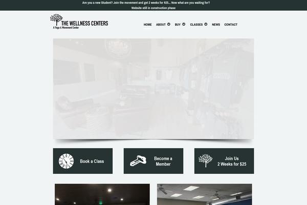 Executive theme site design template sample