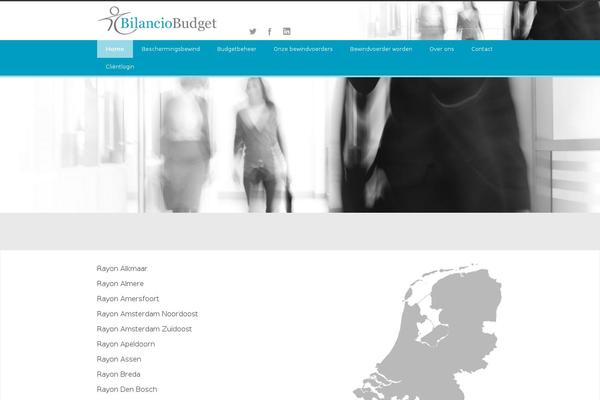 bilanciobudget.nl site used Divi_child_theme