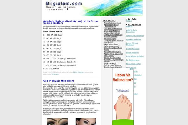 bilgialem.com site used Adsense-boqpod