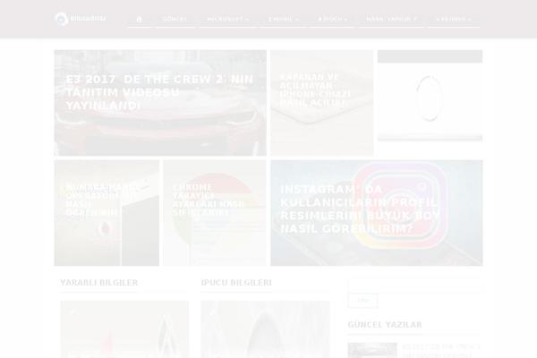 corax theme websites examples