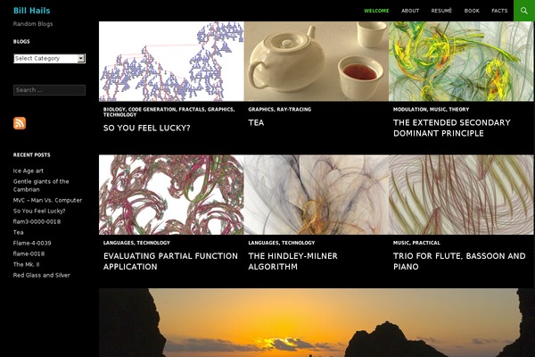 WordPress website example screenshot