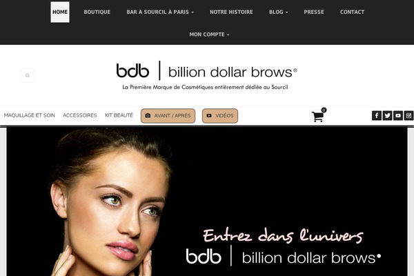 billiondollarbrows.fr site used Fame