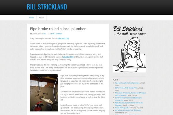 billstrickland.info site used Nitrous Child Theme