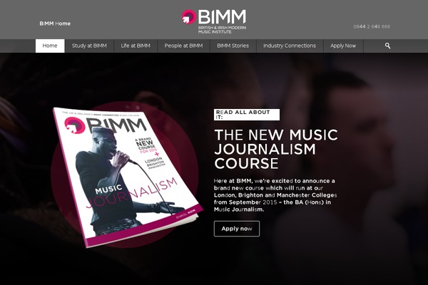 bimm theme websites examples