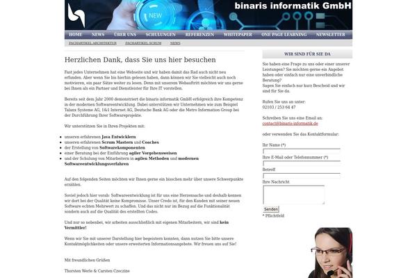 binaris-informatik.de site used Revolution_city_gray-10