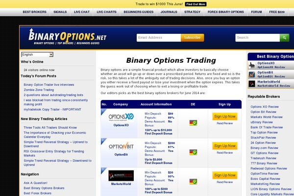 binaryoptions theme websites examples