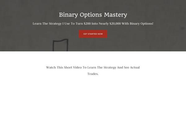 Twentytwentyfour theme site design template sample