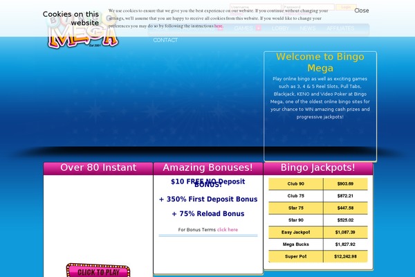 WordPress website example screenshot