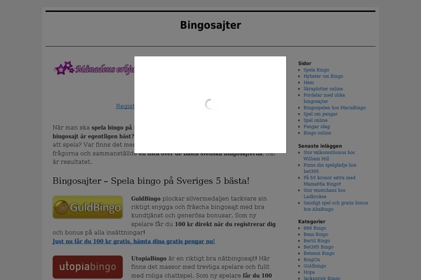 bingosajt.se site used Bingoblogg