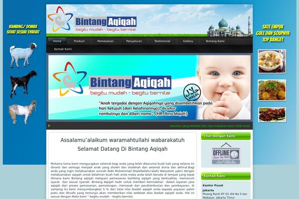 bintangaqiqah.com site used Bintangaqiqahnewtemplatenotresponsive