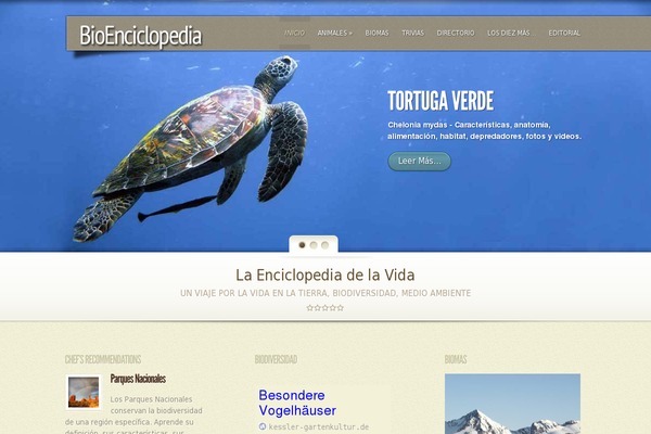 elegantfusion-child WordPress theme, websites list used elegantfusion-child theme elegantfusion-child theme websites examples
