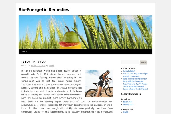 Twenty Fourteen theme site design template sample